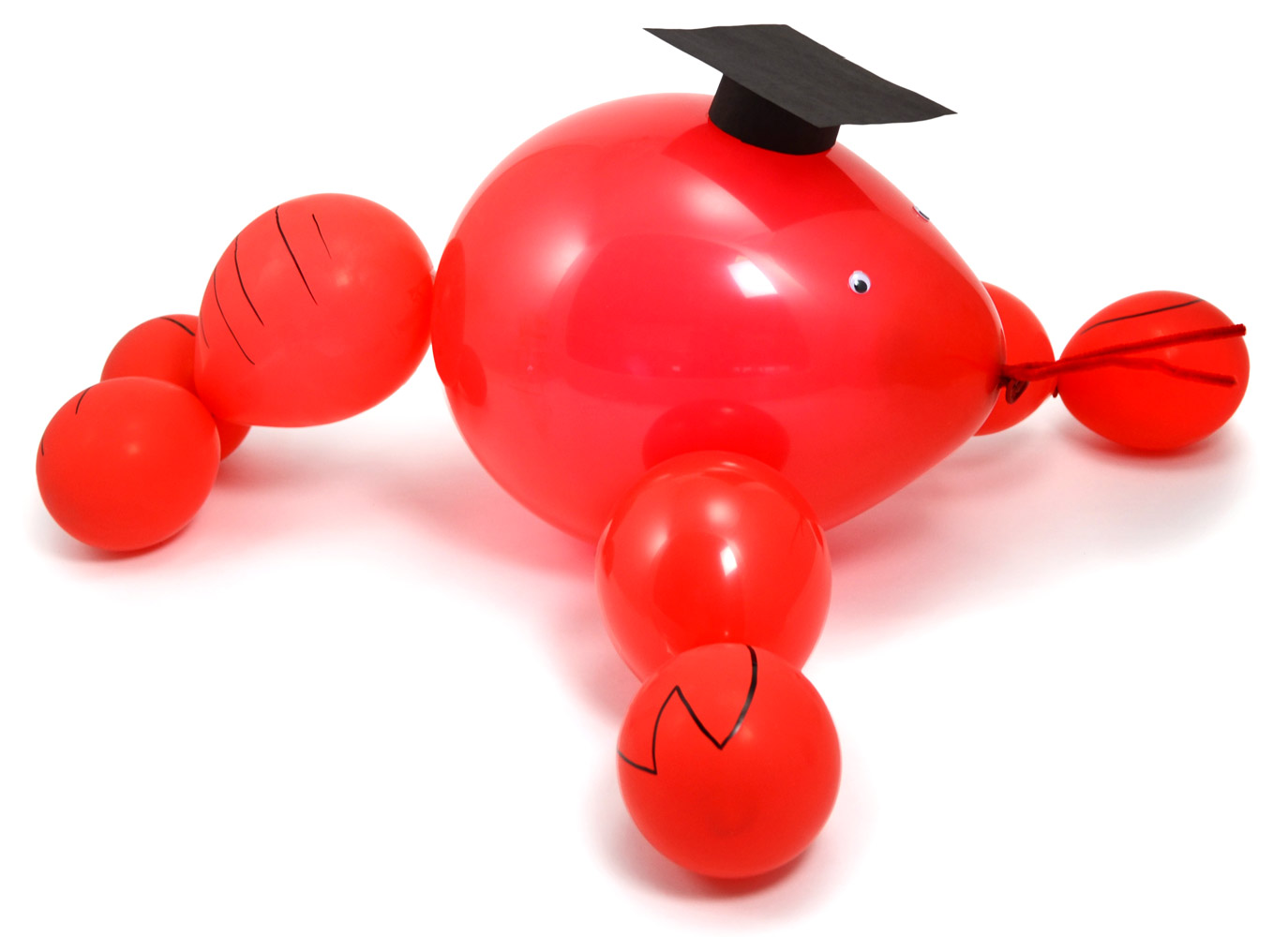 Graduation crawfish balloon