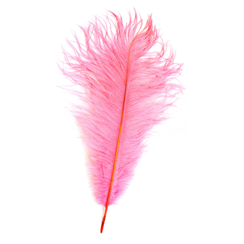 14-16 Ostrich Feathers: Pink (6)