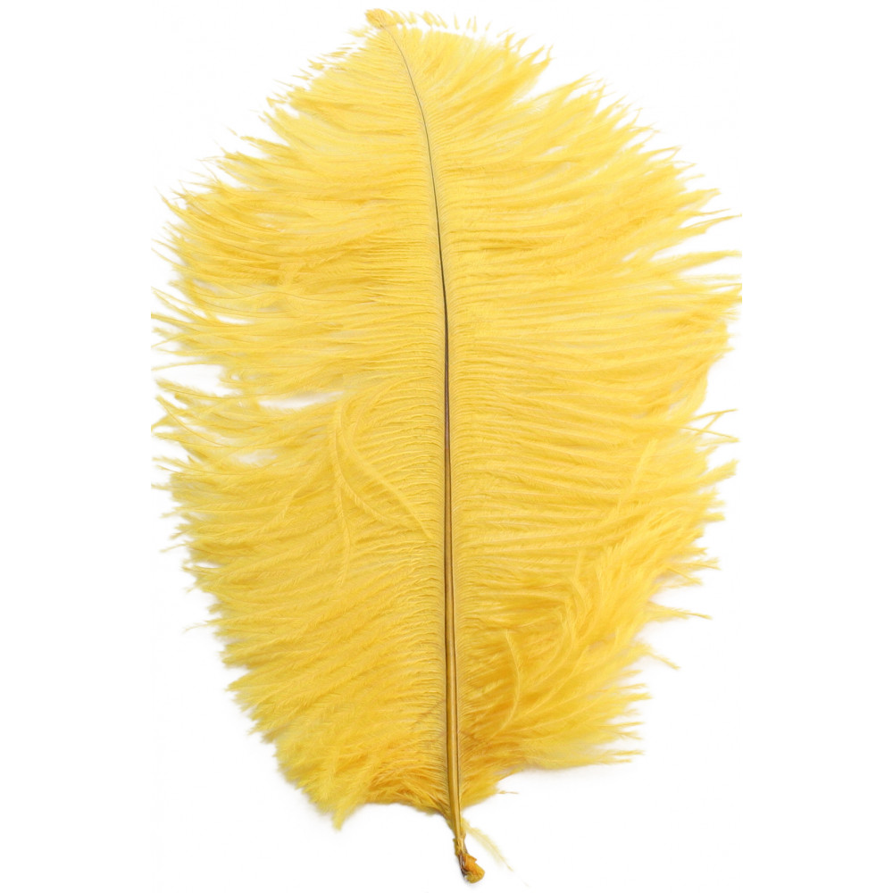 Feather Yellow Stock Photos - 762,565 Images