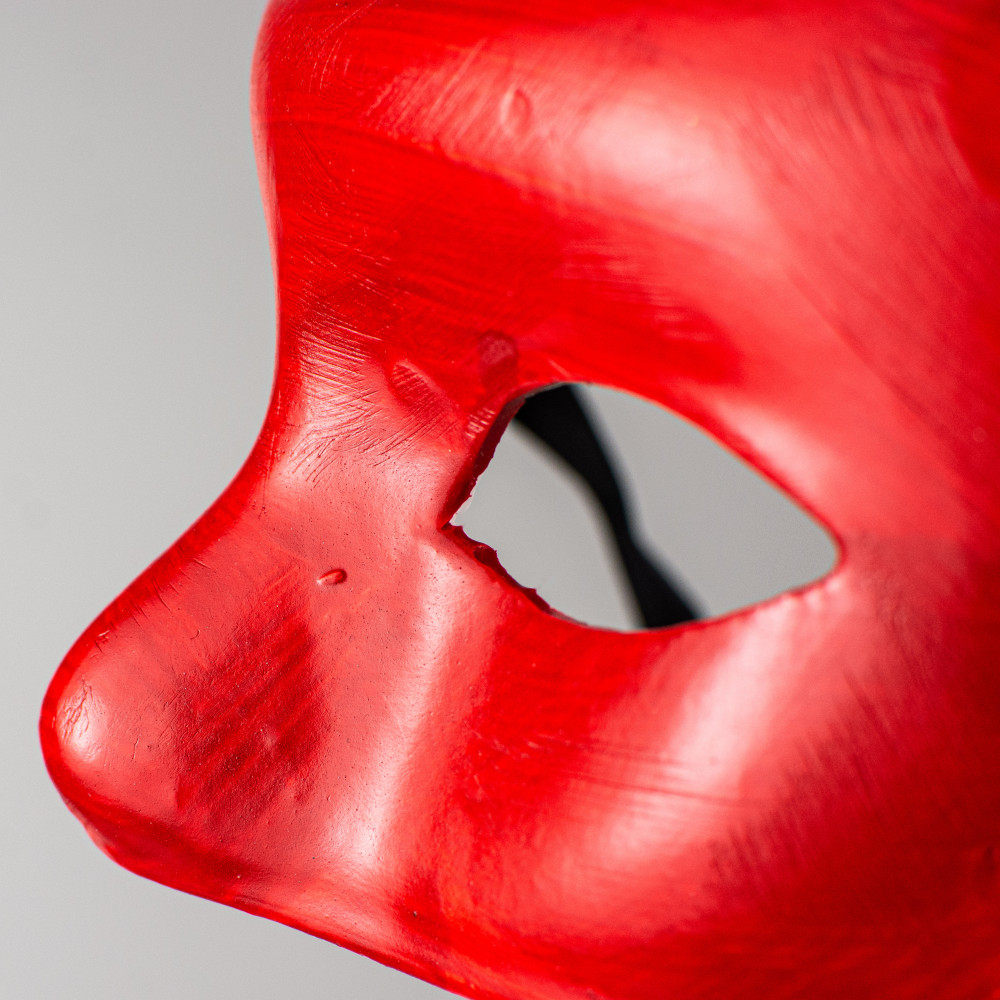 Unpainted Paper Mache Cat Mask [] 