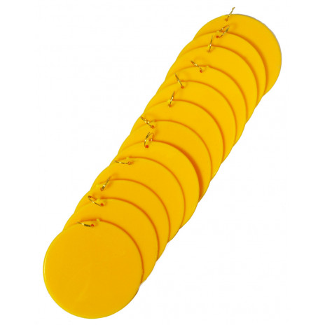 2.5" Disc with Jump Ring: Golden Yellow (12)