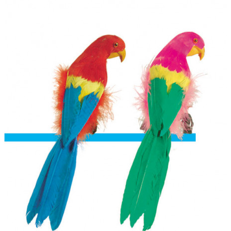 Feathered Parrots - 12 inch