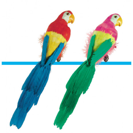 Feathered Parrots - 20 inch