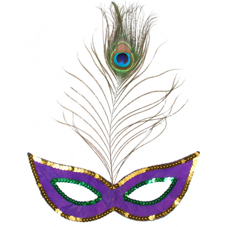 Simply Mardi Gras Feather Mask