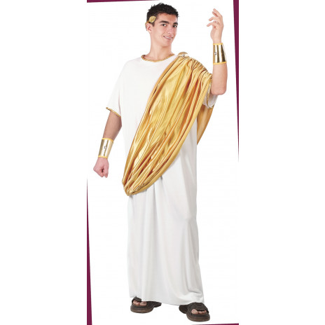 Hail Caesar Costume