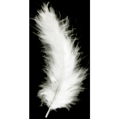 2g Craft Feathers: White