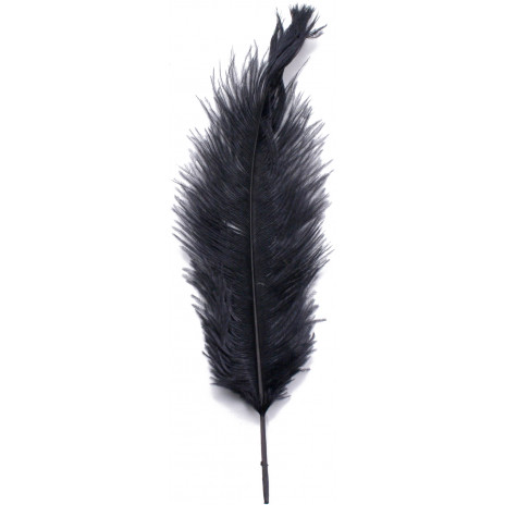 14-16" Ostrich Feathers: Black (6)