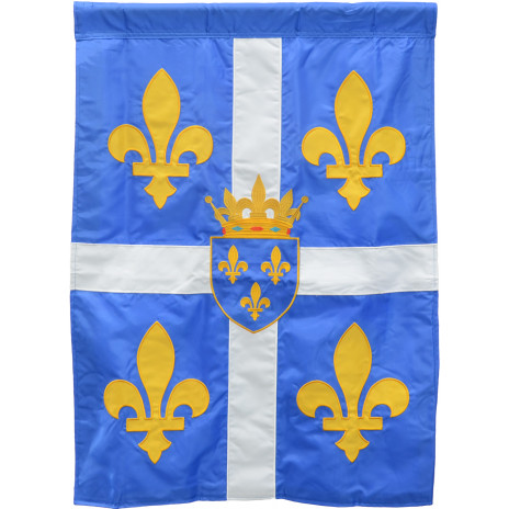 Historical French Flag: Large