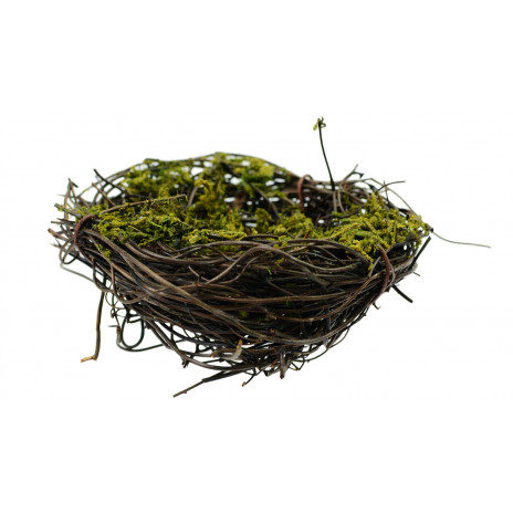 3" Angel Vine Mossy Bird Nest