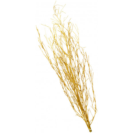 26" Bundle Metallic Branches: Gold