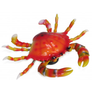 Bobble Crab Magnet