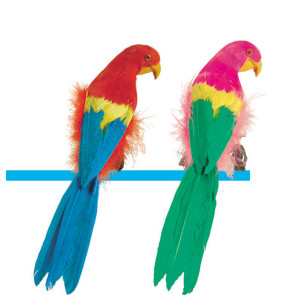 Feathered Parrots - 12 inch