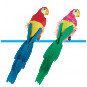 Feathered Parrots - 20 inch