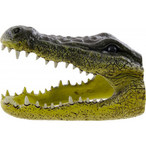 Large Alligator Head: 6