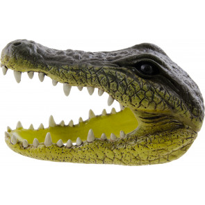 Small Alligator Head: 5.5