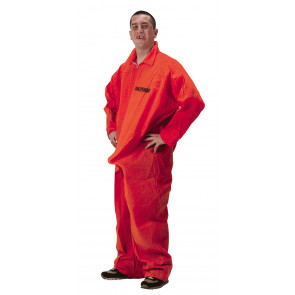Department of Erections Costume