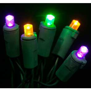 Battery Lights: 20 LED Mardi Gras