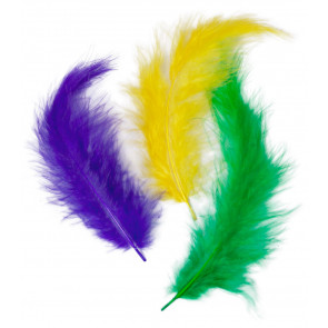10g Craft Feathers: Mardi Gras Mix