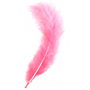 2g Craft Feathers: Pink