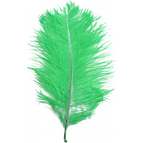 14-16" Ostrich Feathers: Green (6)