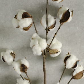 Cotton Boll Floral Spray: 32