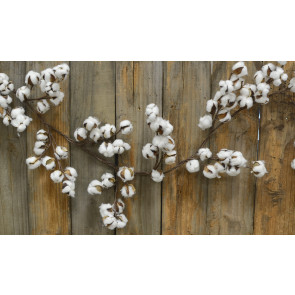Cotton Boll Garland: 5'