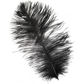 15" Ostrich Feather: Black