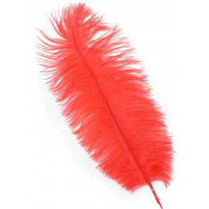 15" Ostrich Feather: Red