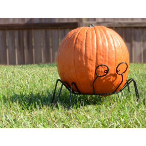 Wire Spider Pumpkin Stand