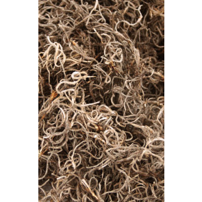 Spanish Moss: 2oz/62 cu in Package