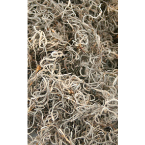 Natural Spanish Moss: 500 Cubic Inch Bag