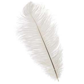 15" Ostrich Feather: White