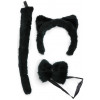 Costume Kit: Black Cat