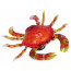 Bobble Crab Magnet