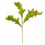 18" Green Acanthus Leaf Spray