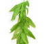 Mystery Fern Leaf Leis (1)