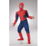 Child Spider-Man Deluxe Muscle Costume (4-6)