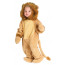 Infant Cuddly Lion Costume (Size L)