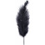 14-16" Ostrich Feathers: Black (6)