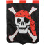 Skull and Crossbones Large Flag