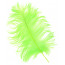 15" Ostrich Feather: Apple Green