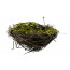 3" Angel Vine Mossy Bird Nest