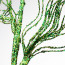 31" Glittered Spiral Pine Spray: Green