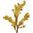 21" Gold Acanthus Leaf Spray