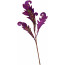 18" Purple Acanthus Leaf Spray