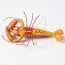5.5" Crawfish Ornament: Realistic Red