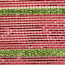 10" Poly Deco Mesh: Deluxe Red/Lime Stripe