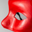 Paper Mache Eye Mask: Red