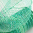 10" Poly Deco Mesh: Mint Green Iridescent OmbrÃ©